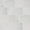 Carrara 12 in. x 24 in. Polished Porcelain Floor and Wall Tile (2 sq. ft./Each) by Home Decorators Collection