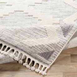 Eloise Gray 5 ft. x 7 ft. Area Rug by Home Decorators Collection 8 Eloise Gray 5 ft. x 7 ft. Area Rug by Home Decorators Collection -Home Decorators Store gray home decorators collection area rugs s00161022759 66 1000