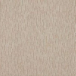 Lanning - Color Stardust Indoor Pattern Carpet by Home Decorators Collection